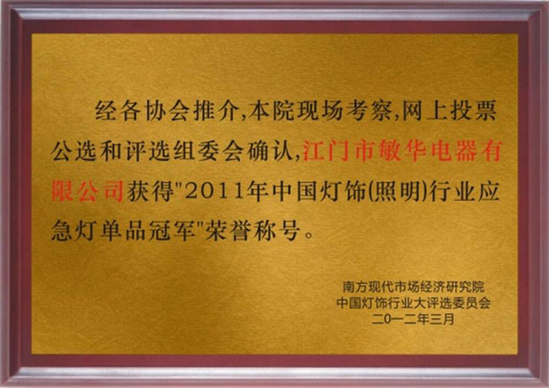 2011年中國燈飾行業(yè)應(yīng)急單品冠軍