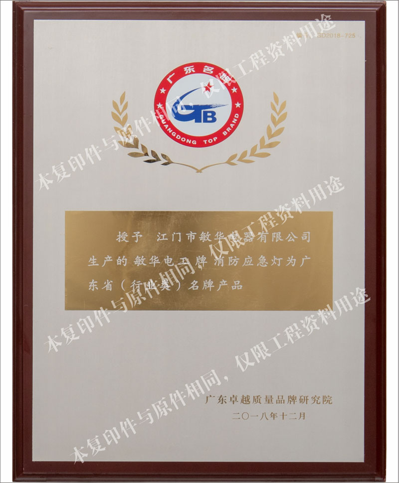 廣東省名牌產(chǎn)品--消防應(yīng)急燈