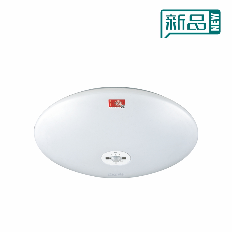 斜邊防火罩吸頂燈（紅外人體感應(yīng)）